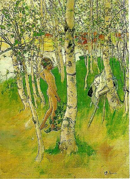 Carl Larsson ulf en naken pojke mellan bjorkstammar-ulf badar pa bullerholmen